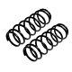 Genuine Apec Pair Of Front Coil Springs For Vw Golf Tdi Agr/alh 1.9 (10/97-5/04)